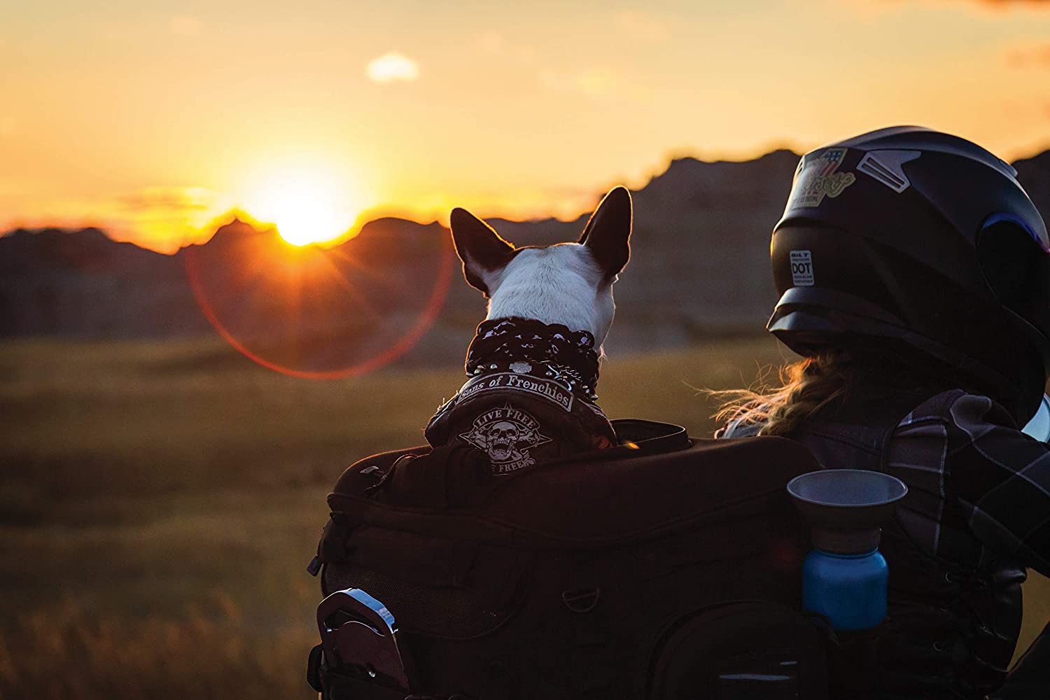 Kuryakyn Saddlebag Grand Pet Palace - Väska för djur